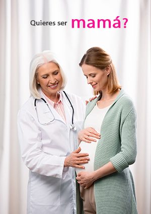 primera_consulta_web